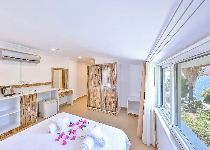 酒店 博兹布伦安芙拉酒店 3*