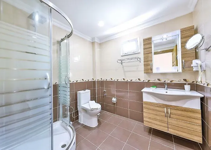 酒店 博兹布伦安芙拉酒店 3*