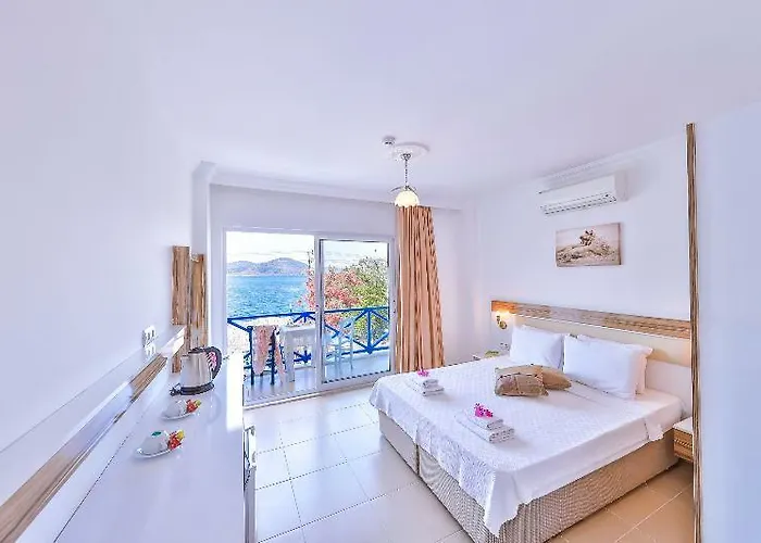 酒店 博兹布伦安芙拉酒店 3*